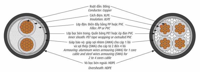 Cấu Trúc Cáp CADIVI CXE/AWA & CXE/SWA 0,6/1kV - Cáp Điện Hạ Thế