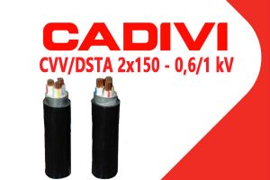 Cáp Điện Hạ Thế Giáp Băng Thép - CADIVI: CVV/DSTA - 2x150 - 0,6/1 kV - Cáp Ngầm