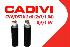 Cáp Điện Hạ Thế Giáp Băng Thép - CADIVI: CVV/DSTA - 2x6 (2x7/1.04) - 0,6/1 kV - Cáp Ngầm