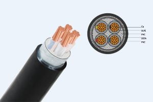 Cáp Điện Hạ Thế Giáp Băng Thép - CADIVI: CVV/DSTA & CXV/DSTA - 0,6/1 kV - Cáp Ngầm Ruột Đồng