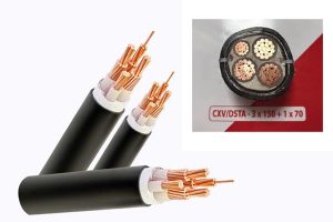 Giá Cáp Ngầm CADIVI: CXV/DSTA 3x150+1x70 - 0,6/1 kV 