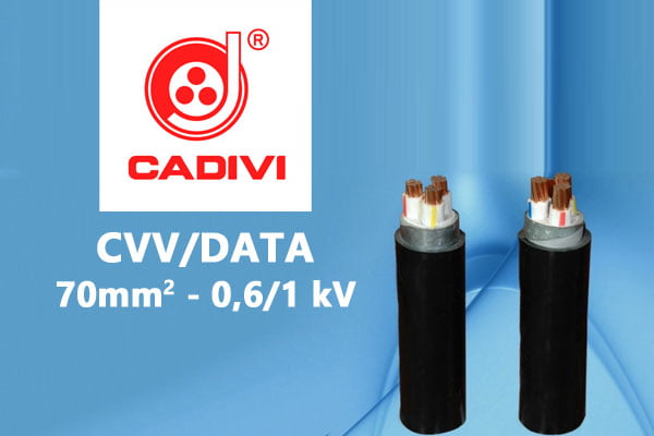 Dây Cáp Điện Hạ Thế - CADIVI - CVV/DATA - 50mm2 - Cáp Ngầm Có Giáp Băng Nhôm Bảo Vệ