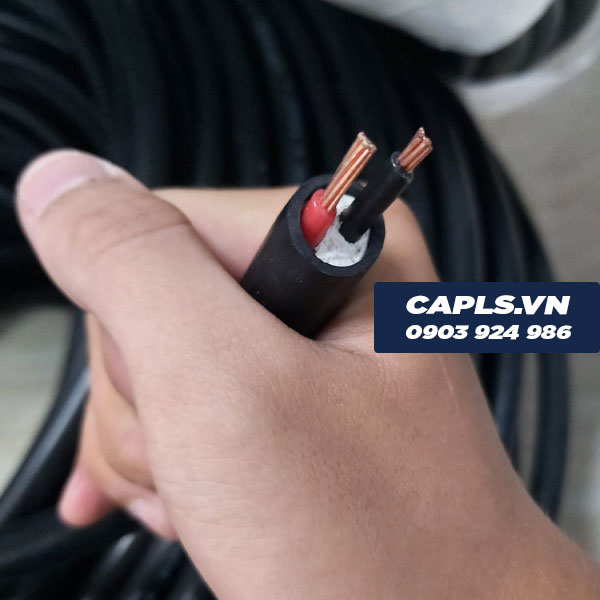 Cáp CXV 2x4 LS VINA