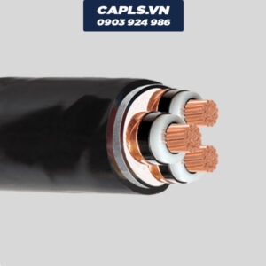 Cáp Cu/XLPE/PVC/DSTA/PVC-W 24kV