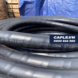 Cáp ngầm 3 pha trung thế Cu/XLPE/PVC/DSTA/PVC-W 3x120