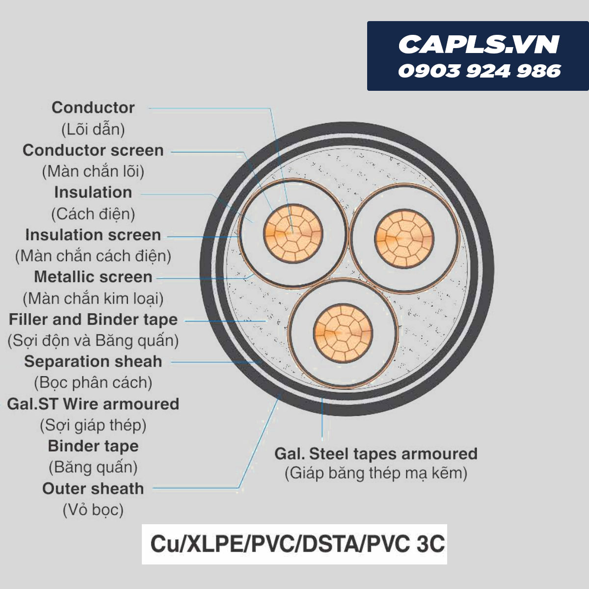 Cấu trúc cáp Cu/XLPE/PVC/DSTA/PVC 3C